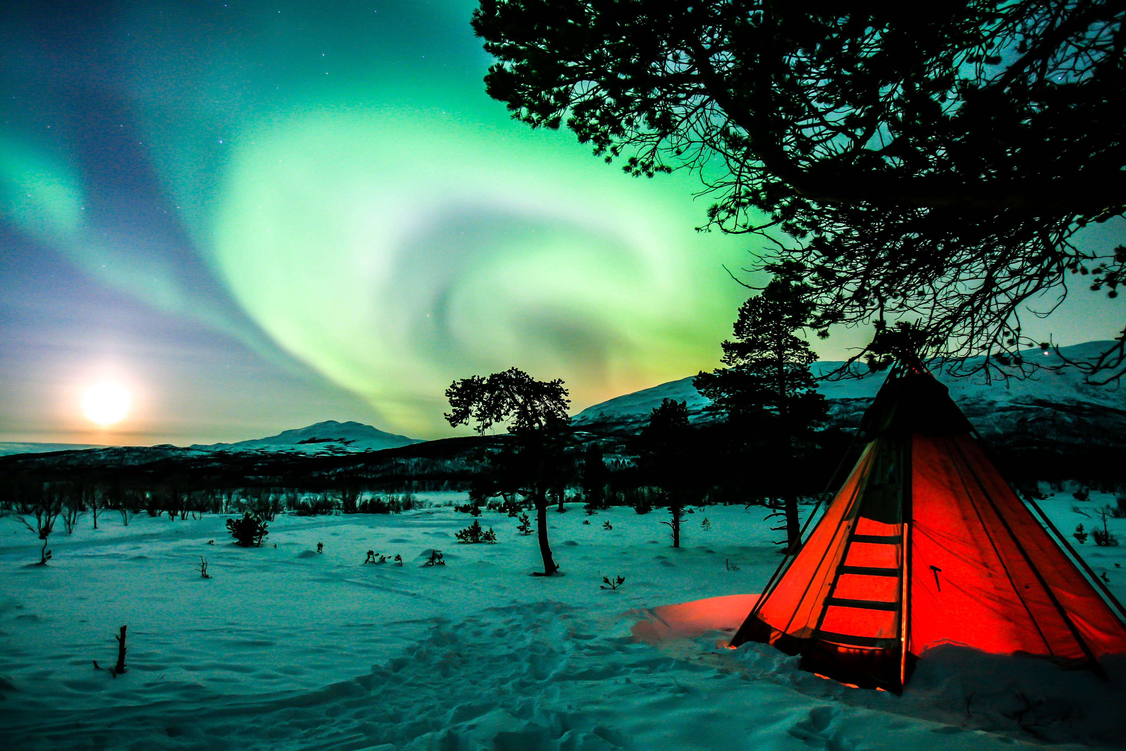 Northern lights in Abisko, Sweden - photo by Dylan Shaw